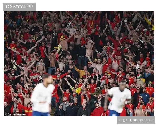 威尔士球迷热情高涨，全力助威国家队迎战新挑战表现抢眼