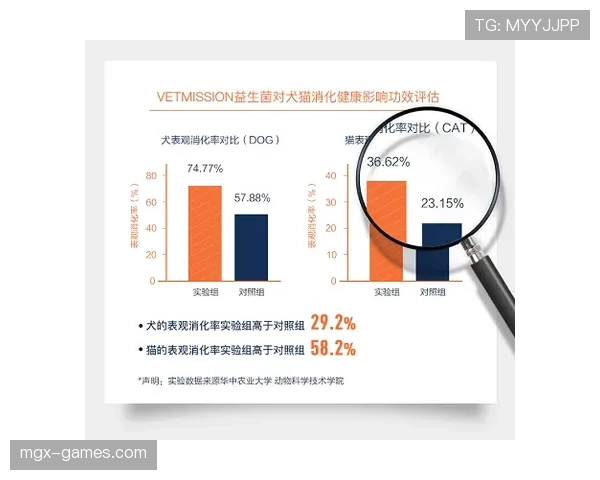 帕雷德斯稳健推进个人成长与灵性探索，未来发展备受关注